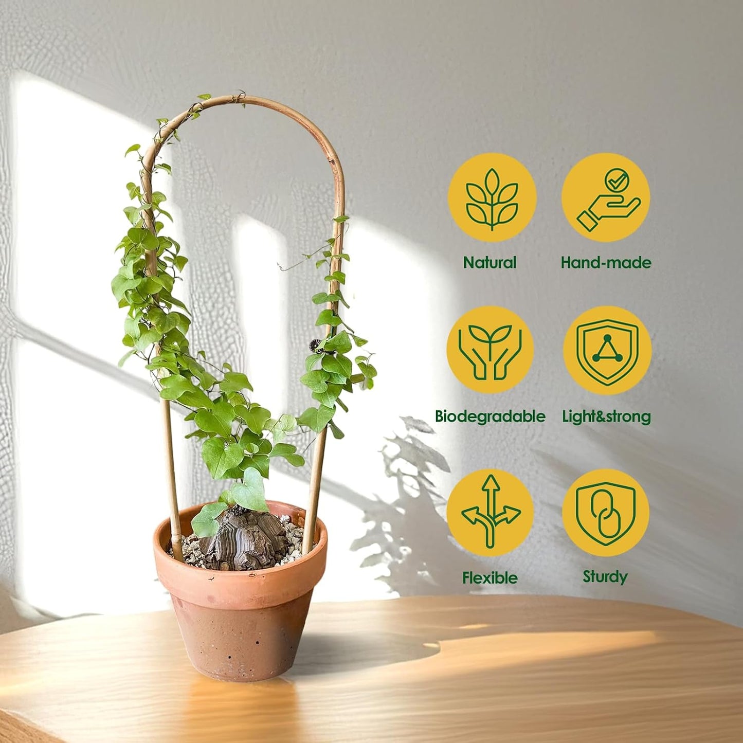 Enrejado bambú para plantas trepadoras 16pulg set 6