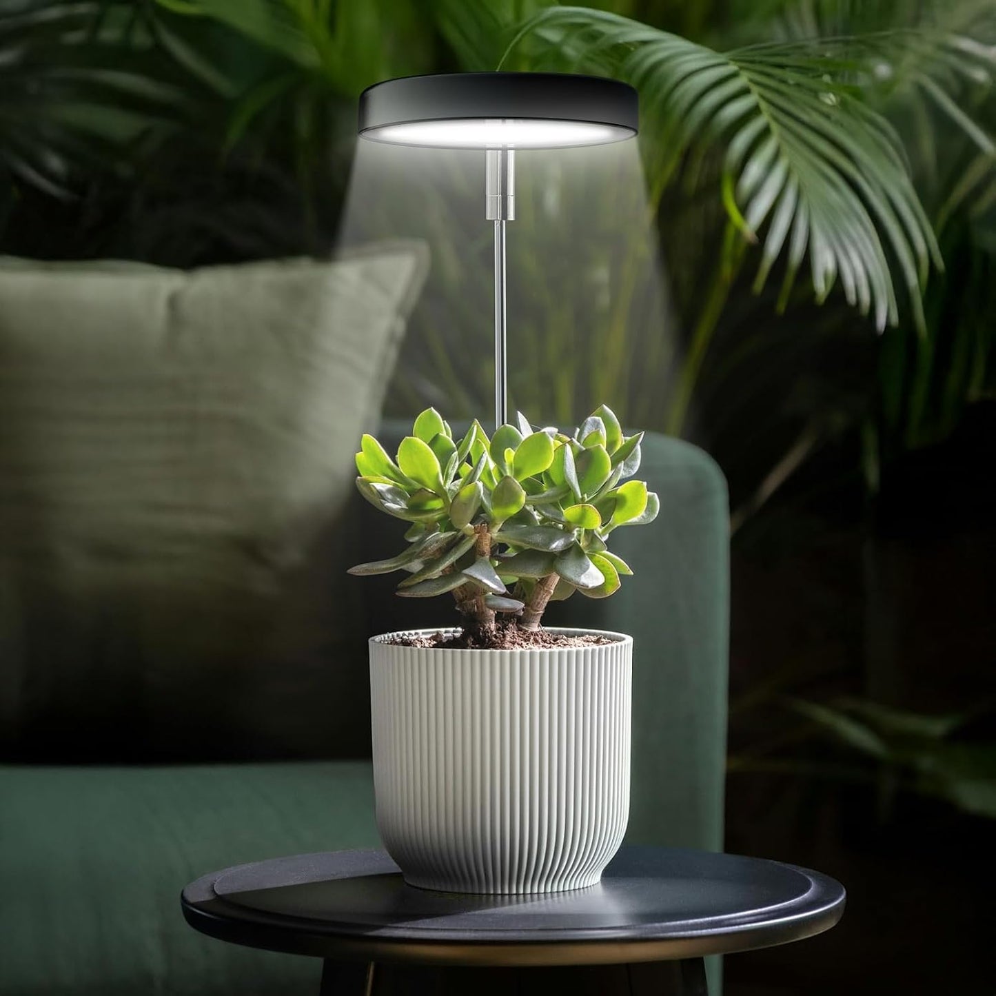 Luz cultivo interior maceta espectro completo 10 niveles