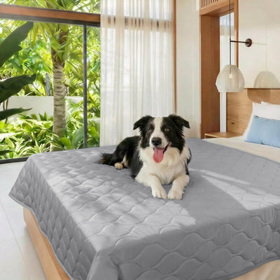 Tapete impermeable antideslizante para perros 60x80pulg gris nube