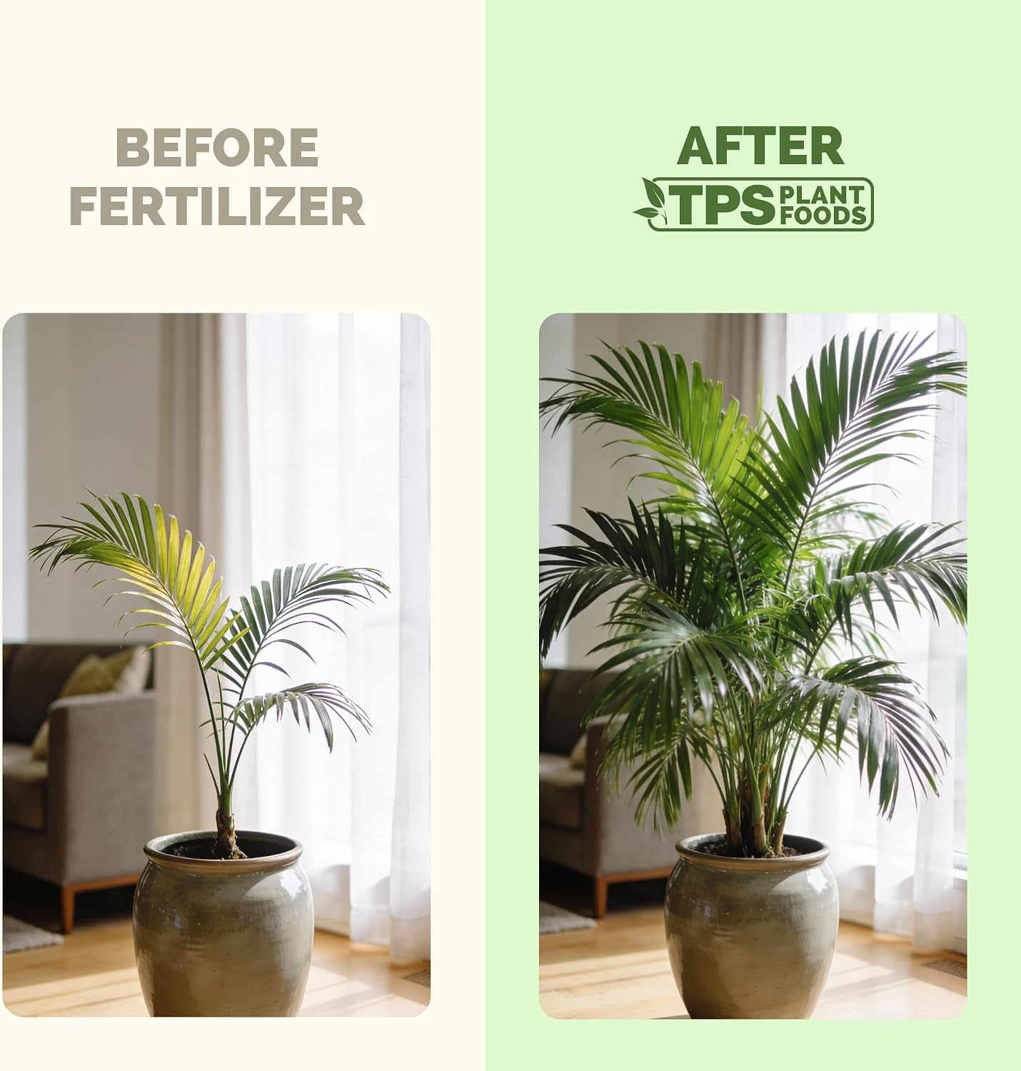 Fertilizante líquido para palmeras y helechos 32oz