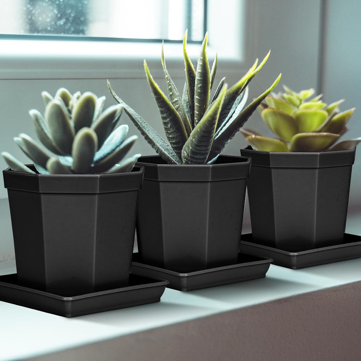 Platillo cuadrado para plantas 6pulg set 5 plástico drenaje