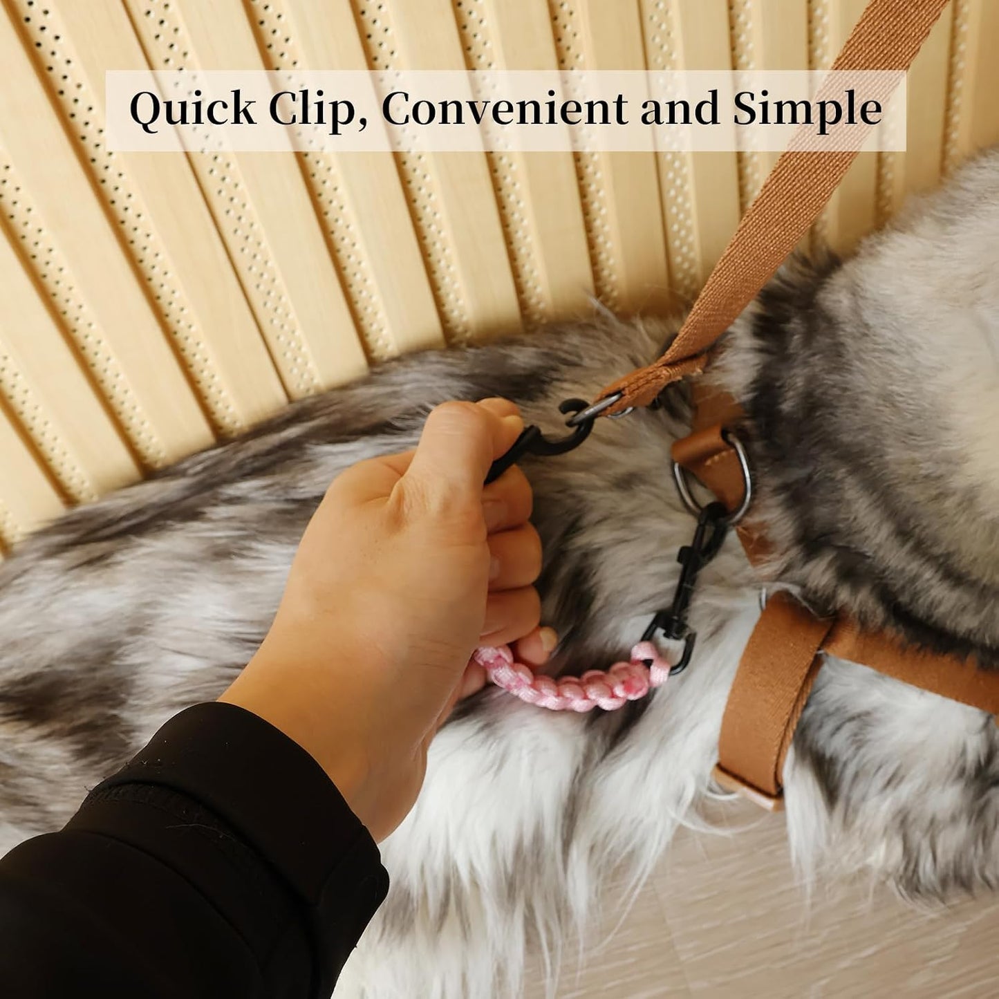 2 Clips Seguridad Collar Perro Doble Hebilla Giratoria Rosa Negro