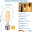Pack 10 Bombillas LED Edison Regulables 2700K