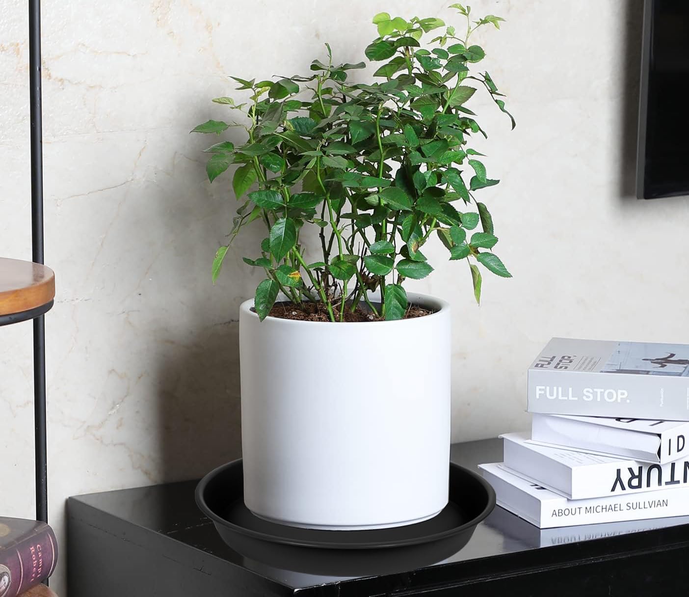 6 Pzas Platillos Plástico 10pulg para Plantas Interiores