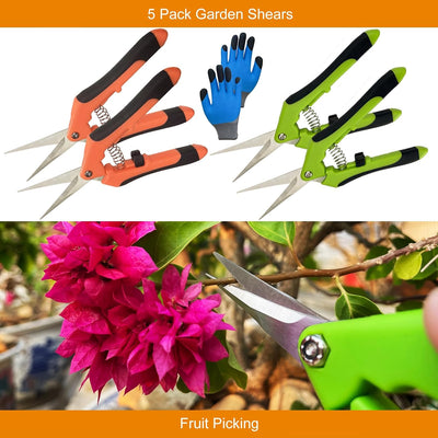5 Tijeras de Jardín Acero Inox con Guantes