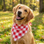 Bandana perro grande lino algodón cuadros transpirable vacaciones