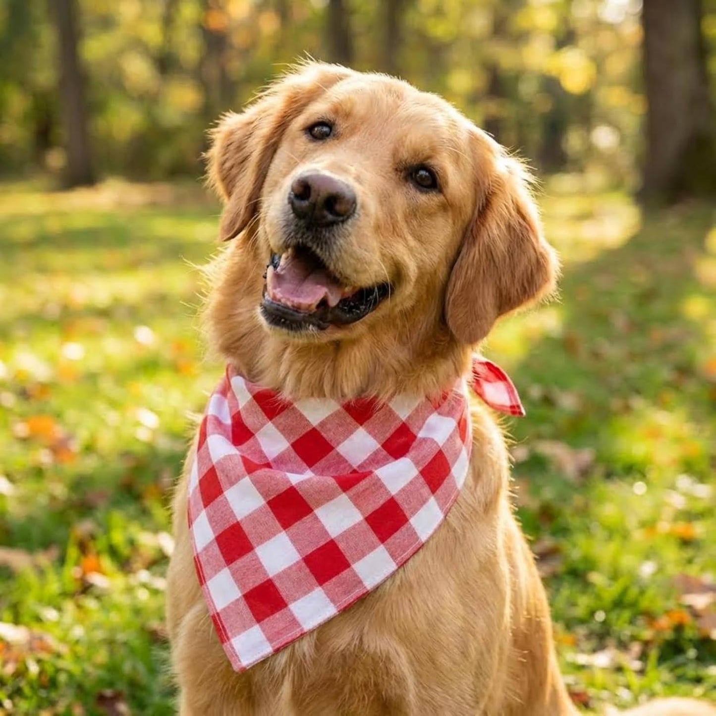 Bandana perro grande lino algodón cuadros transpirable vacaciones