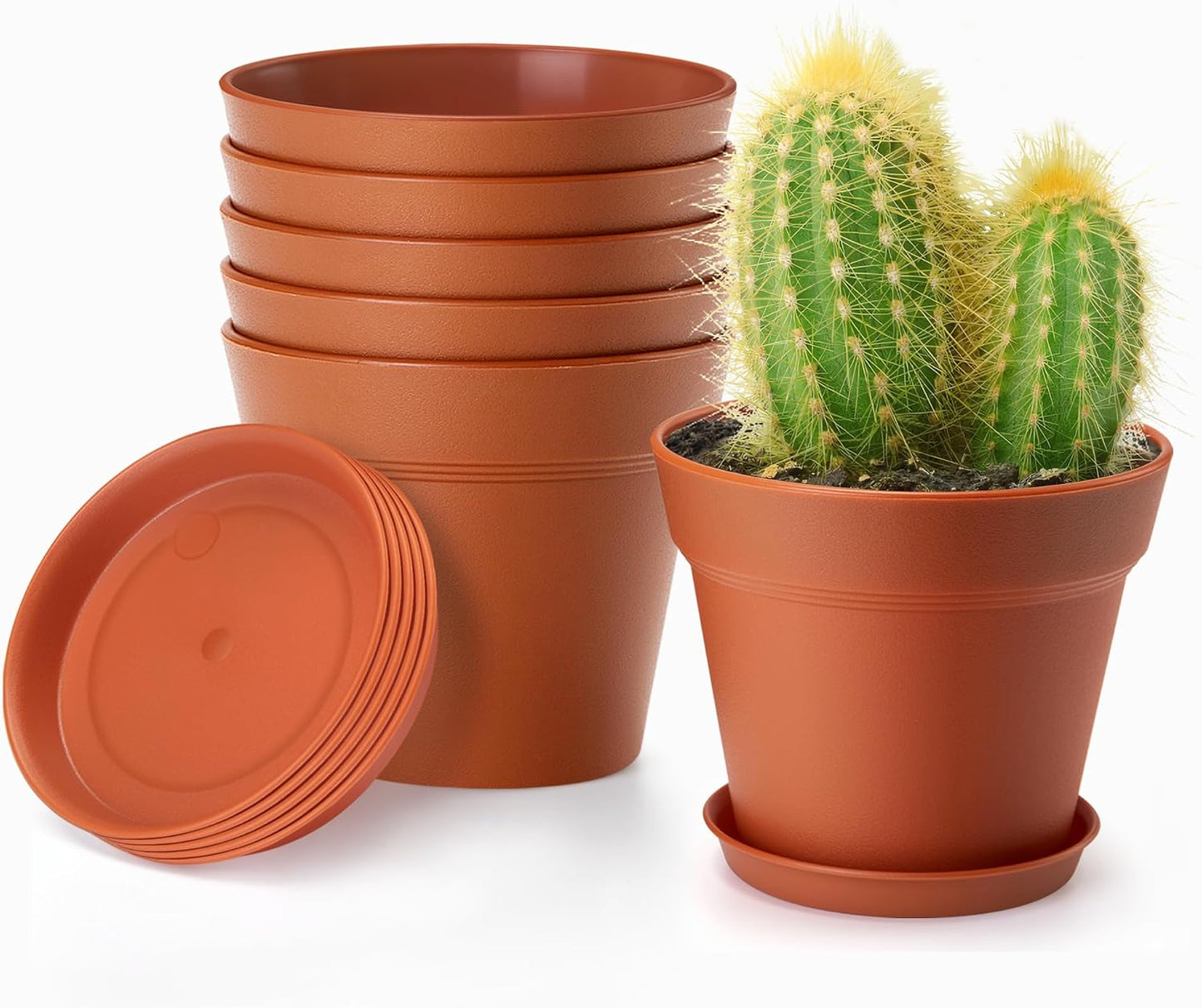 Macetas plástico 4pulg set 6 con bandeja drenaje violeta africana