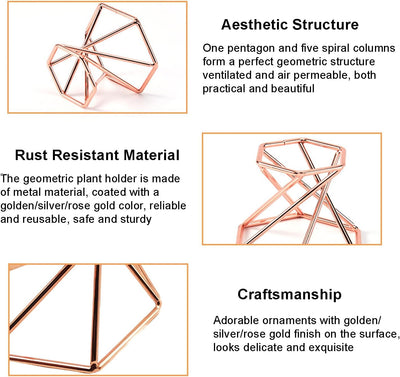Soporte geométrico para plantas aire 6 pzas metal