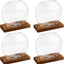4 Macetas Vidrio Redondas con Soporte Madera Terrario Oficina