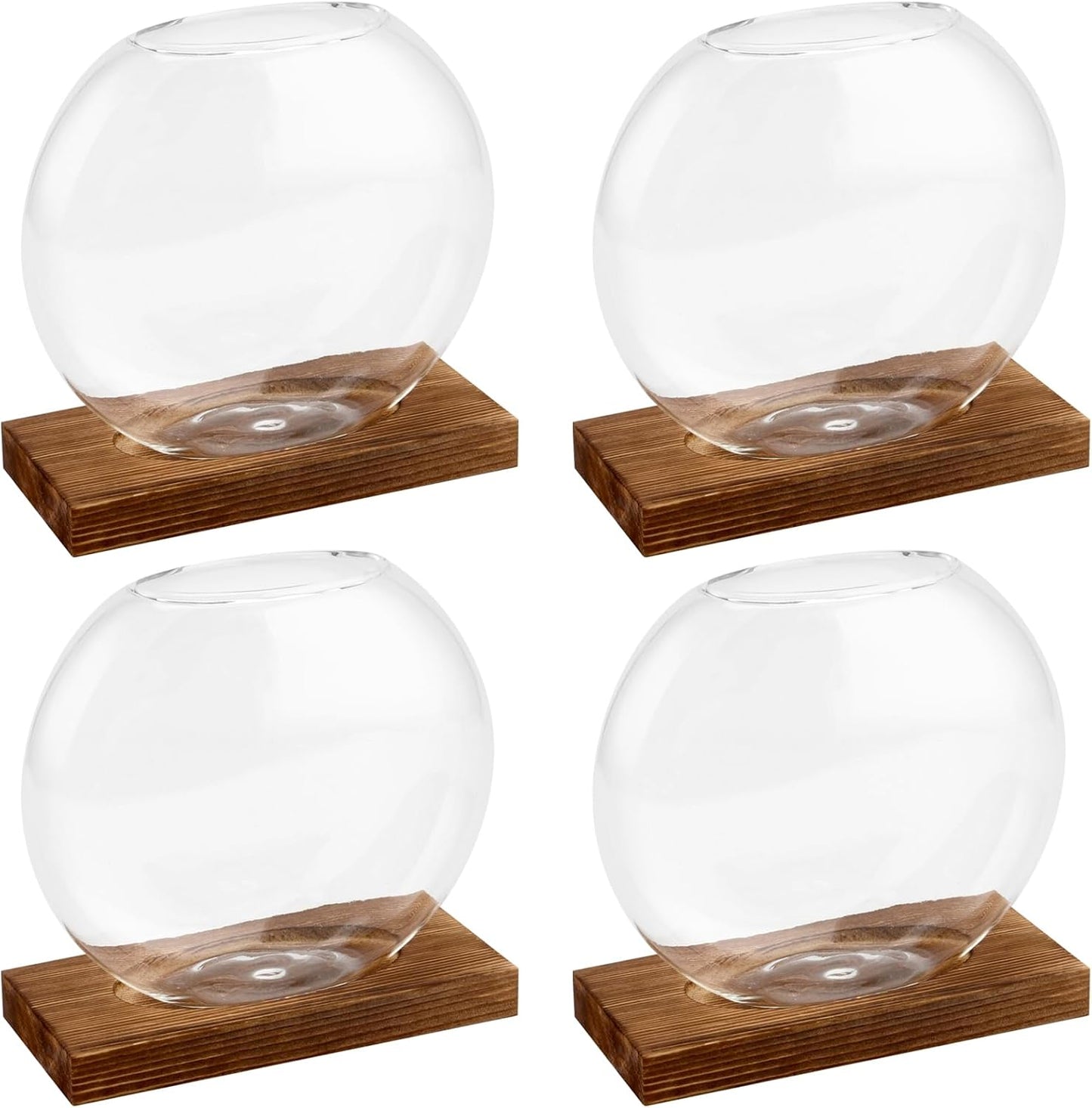 4 Macetas Vidrio Redondas con Soporte Madera Terrario Oficina
