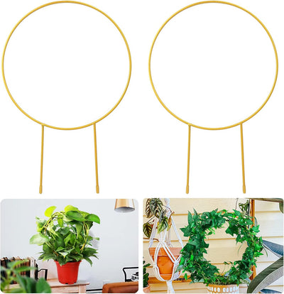 2en1 Soporte flores Hoya 15pulg dorado para plantas trepadoras