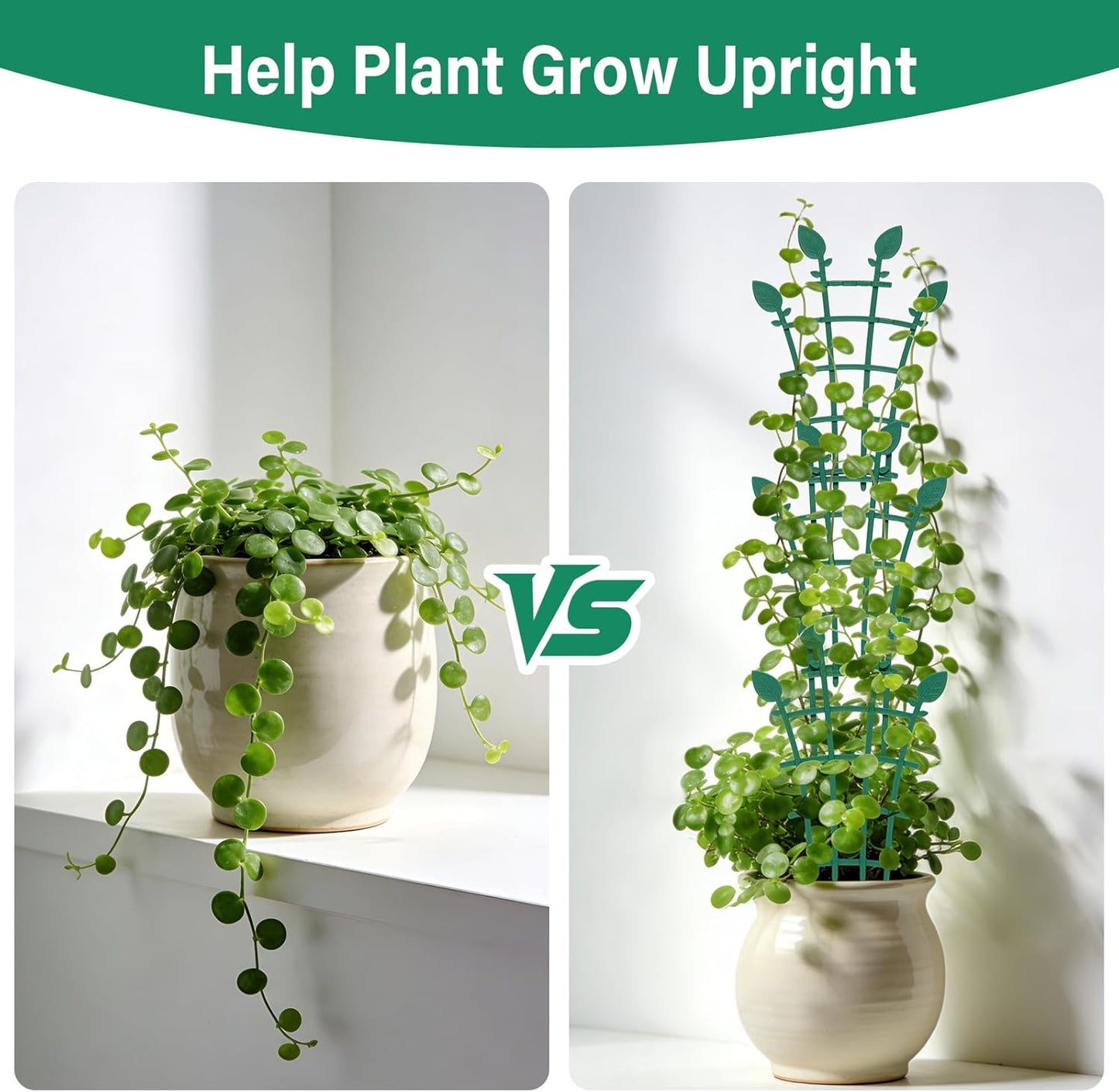 Enrejado apilable para plantas trepadoras Pothos Hoya