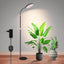 Luces LED cultivo interior 24V ajuste altura 20-54pulg