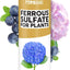 Sulfato ferroso para plantas 8oz hierro azufre