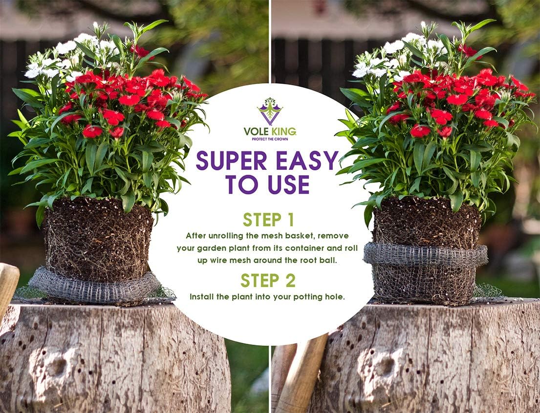 Cestas para plantas 1qt pack 4 protege árboles flores