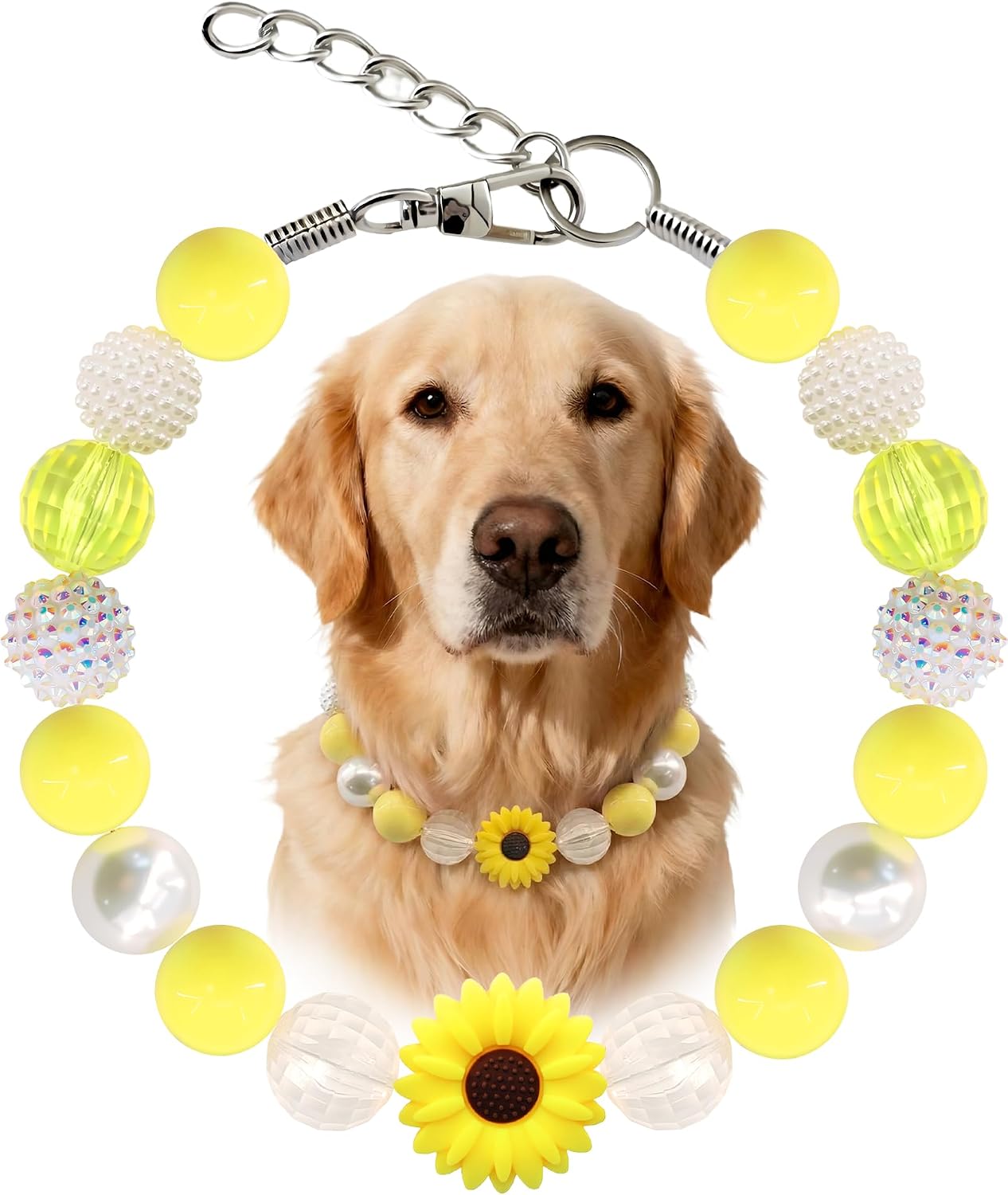 Collar perro perlas gruesas amarillas acero inox