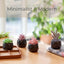 Set 4 plantas escritorio macetas geométricas negras