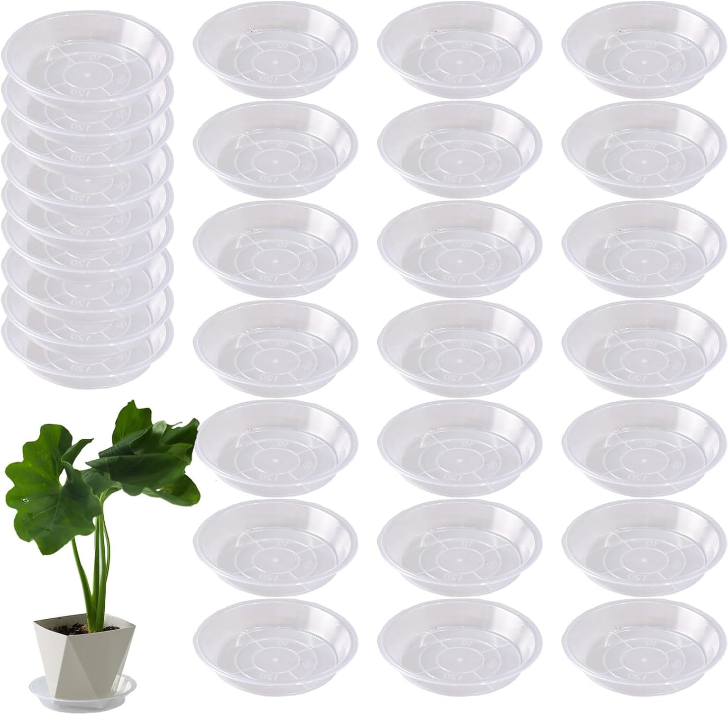 30 Platillos Plástico Transparente 4pulg para Macetas