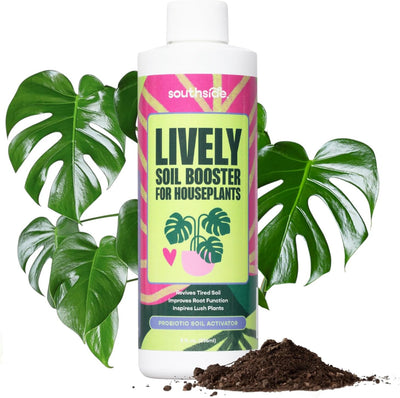 Acondicionador suelo premium para plantas interiores con bacilo