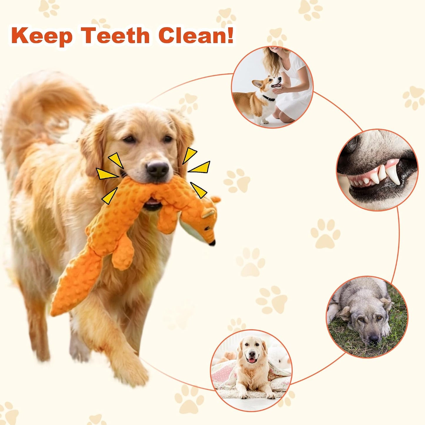 3 Jugs Chirriantes Perros Peluche Masticable Interactivo