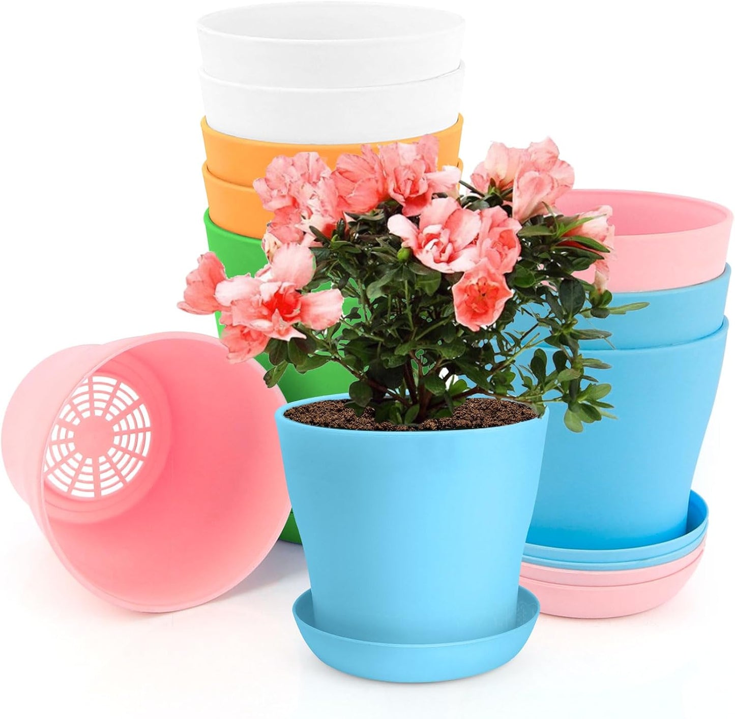 Macetas 5pulg 10pzas suculentas plantas interiores drenaje