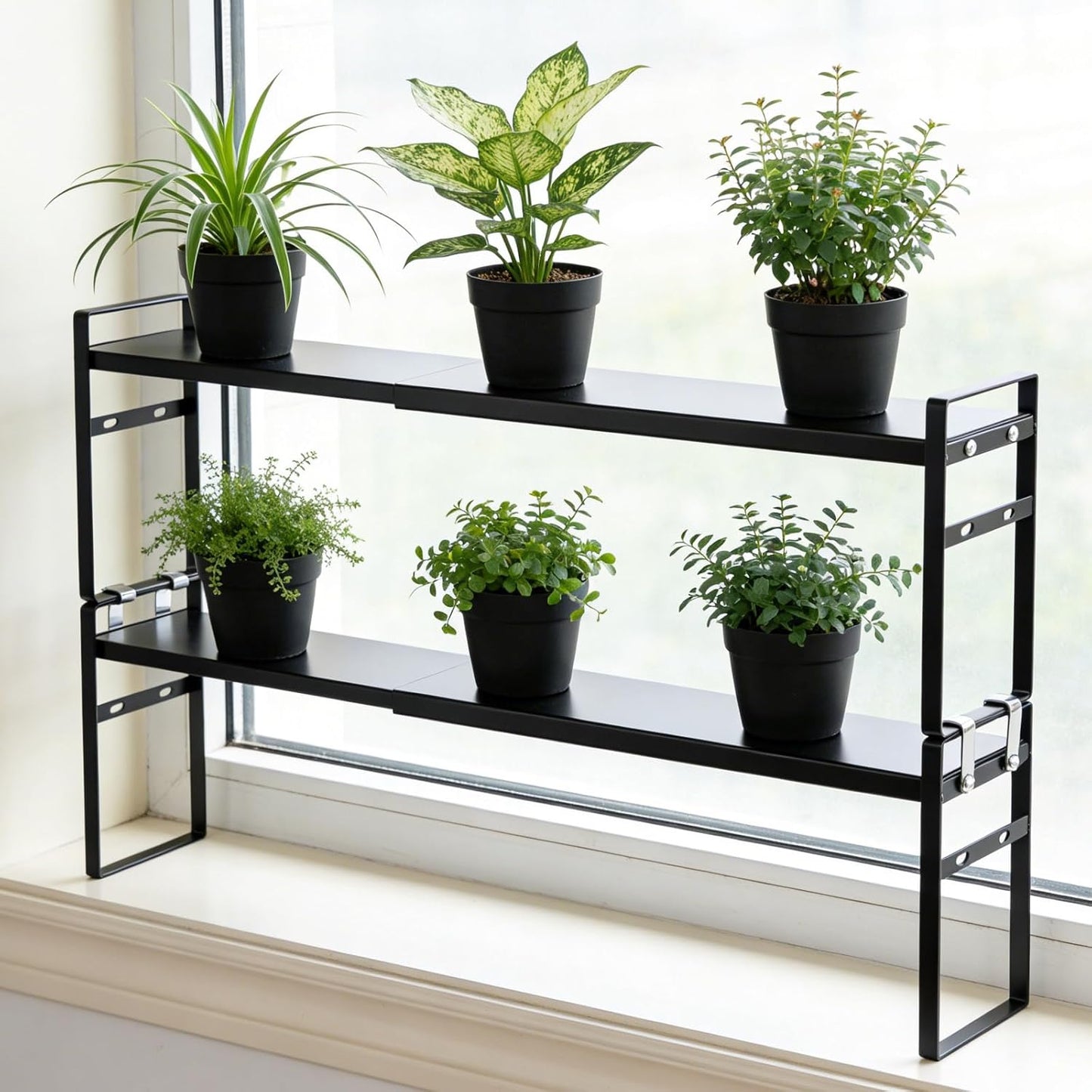 2 estantes expandibles para alféizar de ventana y encimera de cocina