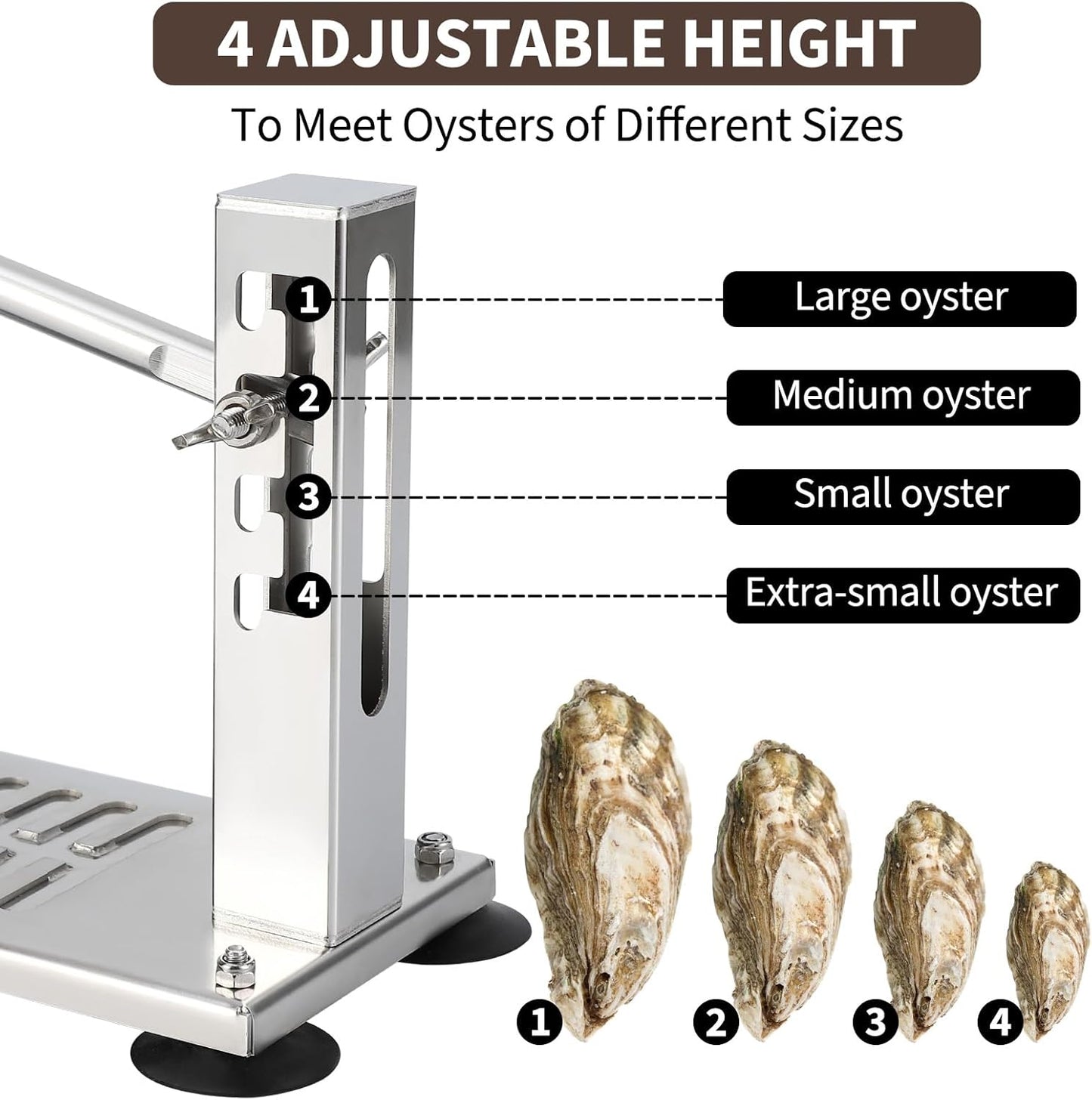 Máquina abridora de ostras de acero inoxidable 4 niveles ajustables con accesorios