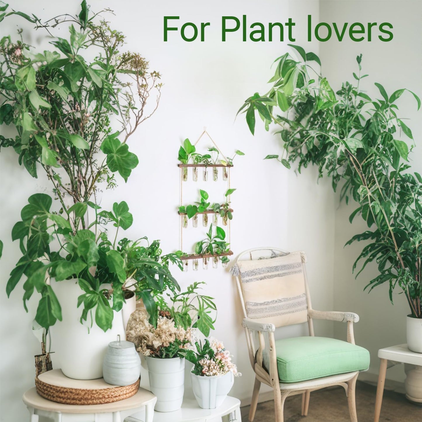 Estación propagación terrario plantas decoración hogar