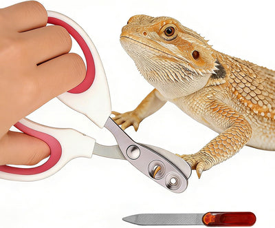 Cortauñas acero inox dragón barbudo con lima para mascotas
