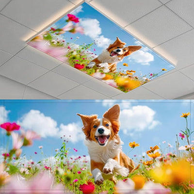 Fundas magnéticas luz fluorescente perro 4x2pies