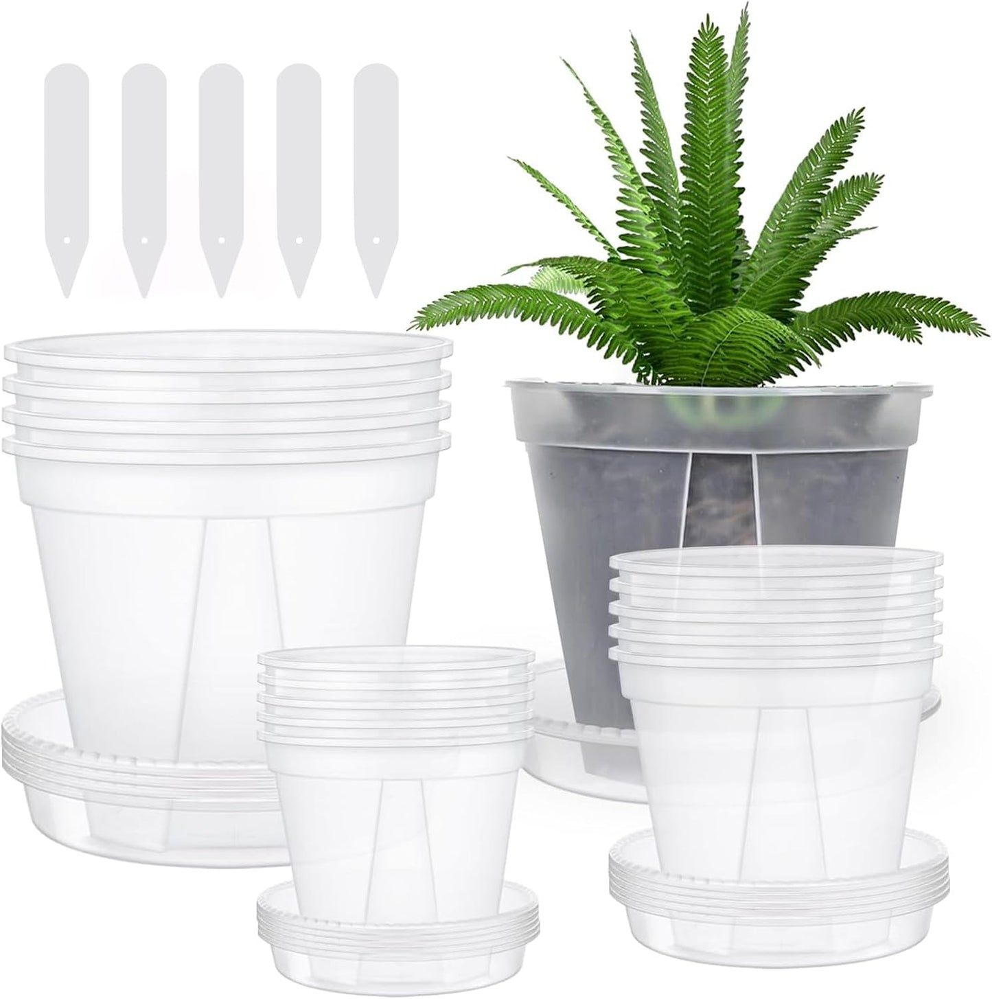 3 Pzas Macetas Transparentes con Drenaje para Jardín