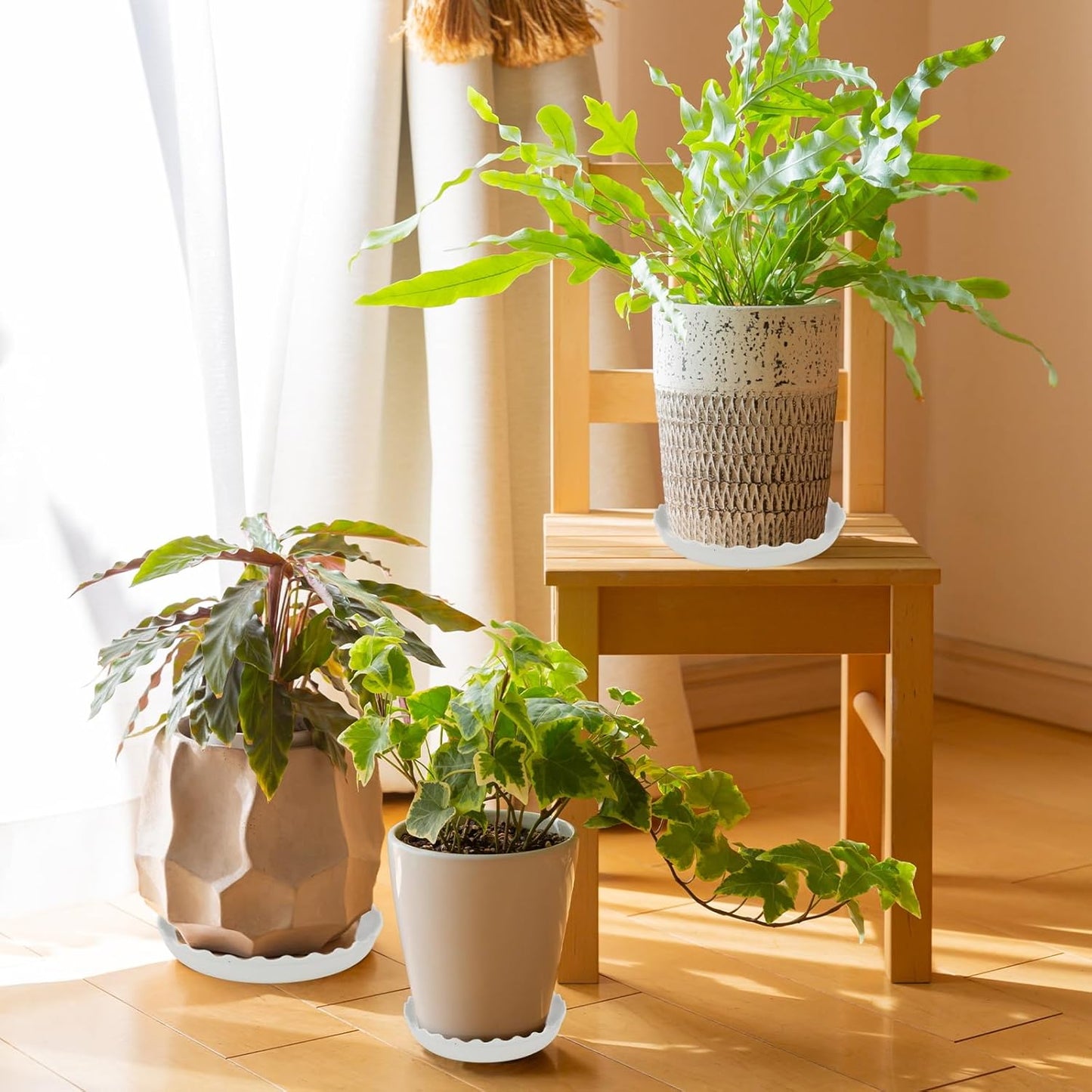 6 Pzas Bandejas Plástico Onduladas para Plantas 6/8/10pulg
