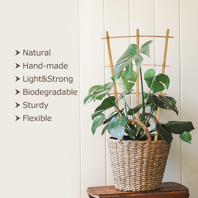 Enrejado bambú abanico 16pulg para plantas trepadoras