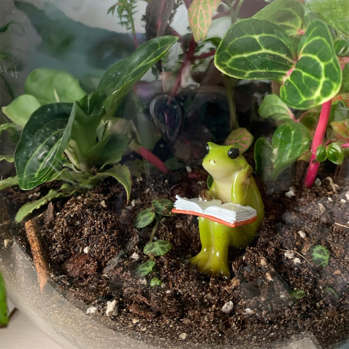 Figuras rana y conejo para jardín en miniatura