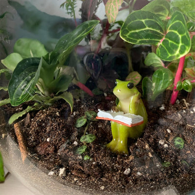 Figuras rana y conejo para jardín en miniatura