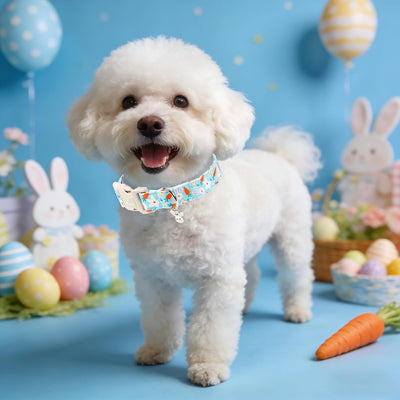 Collar Pascua perro dije conejo zanahoria ajustable