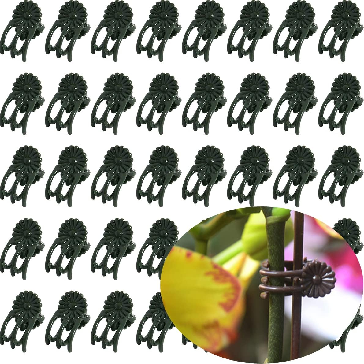 40 Clips Orquídeas Soporte Plantas Trepadoras Verde Oscuro