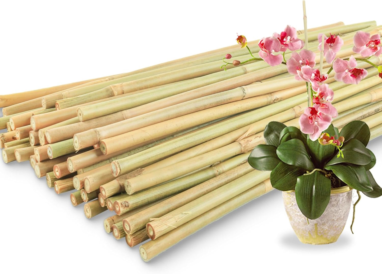 50 Pzas Estacas Bambú 18pulg para Plantas Jardín