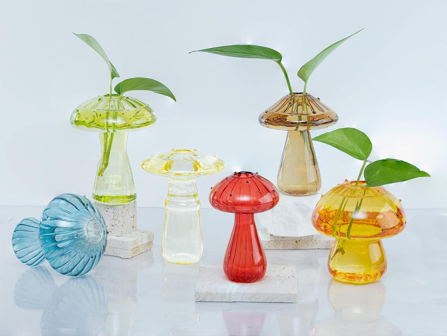 6 Jarrones Vidrio Propagación Plantas Decoración Otoño