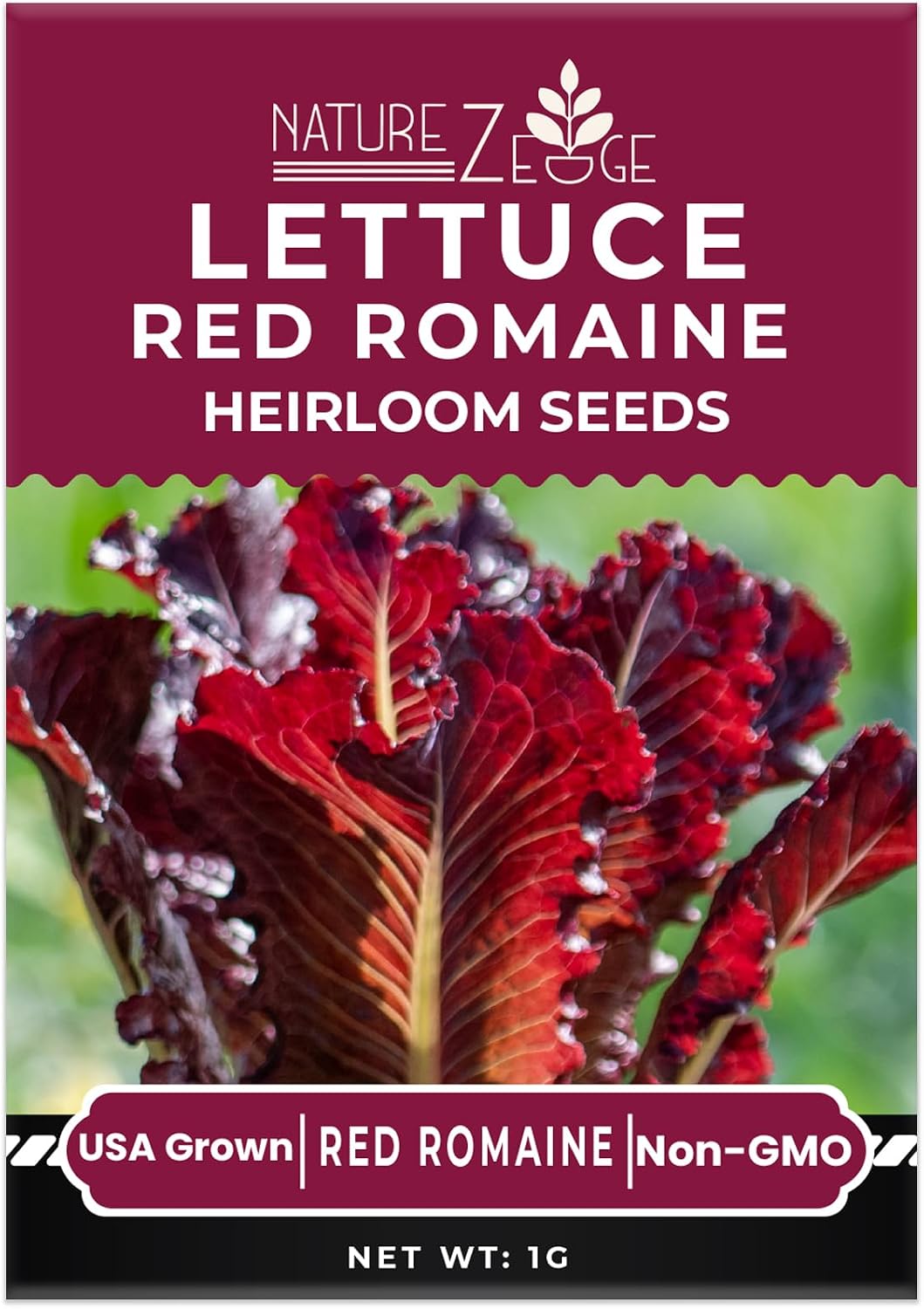 Semillas lechuga Bibb Simpson negra iceberg Green Ice
