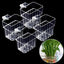 4 Soportes Acrílicos para Plantas Colgantes Acuario