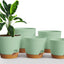 Set 5 Macetas Interior con Drenaje 6.8/6.4/5.9/5.5pulg