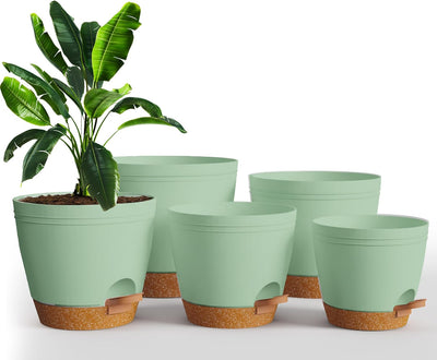 Set 5 Macetas Interior con Drenaje 6.8/6.4/5.9/5.5pulg