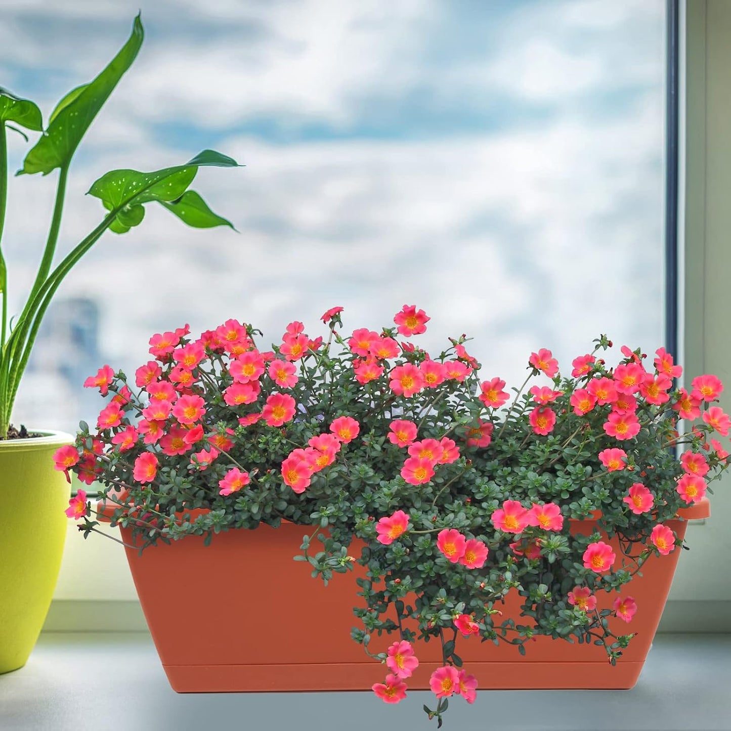 8 Pzas Macetero Plástico Rectangular 17pulg Ventana Jardín Rojo