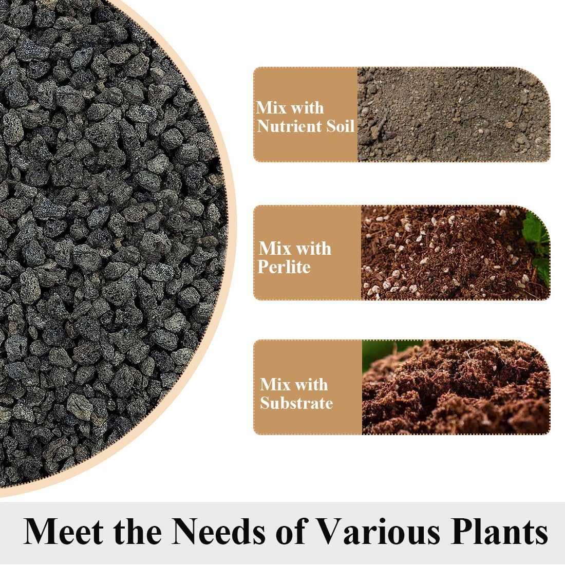 Rocas volcánicas negras para suelo plantas cactus acuario