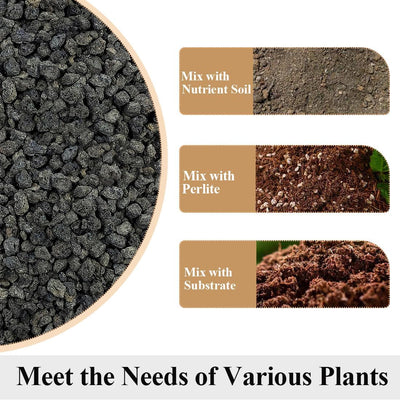 Rocas volcánicas negras para suelo plantas cactus acuario