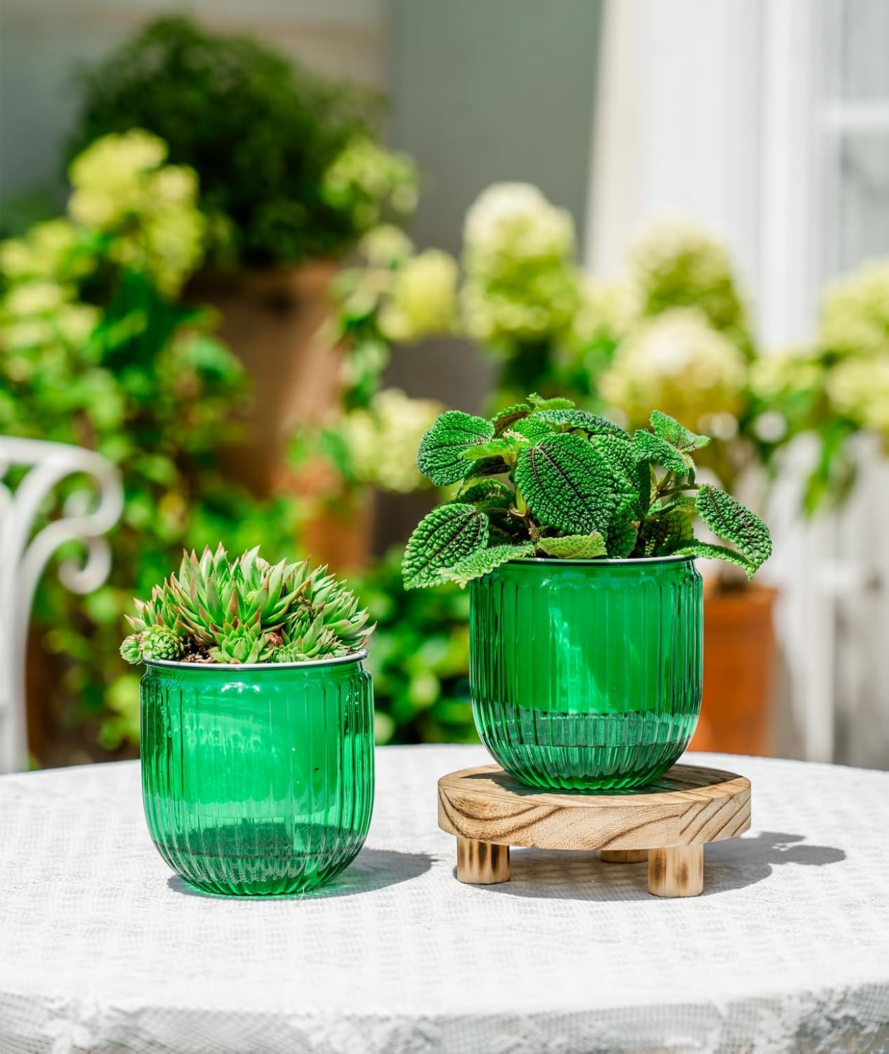 Macetas riego automático interior set 2 4.3pulg flores cactus