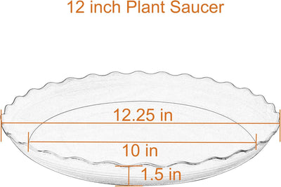 6 Pzas Platillo Plástico para Plantas 12pulg Resistente