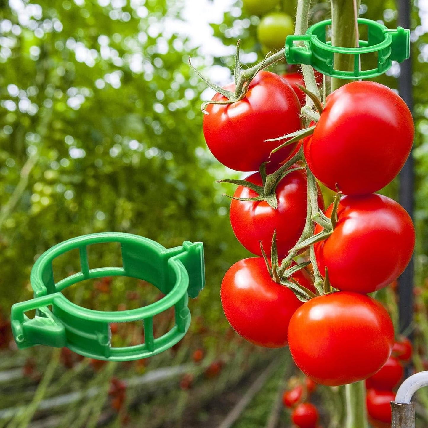300 Clips Plástico Jardín para Tomate Vid y Verduras